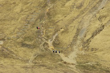 Babele Yaylası Bucegi üzerinde giden yol. Görülen Cota 2000, Sinaia Resort, Prahova İlçesi, Romanya Milli Parkı Karpatlar Bucegi Dağları. 