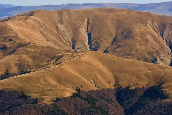 4 450 Cu Stock Photos Free Royalty Free Cu Images Depositphotos