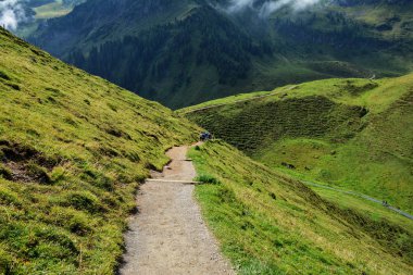Güzel manzara Wildseeloder ev ve Wildsee Gölü, tarihi ve doğa rezerv yer Alps, Fieberbrunn, Avusturya için iki saat izinde. Pat yollar, yeşil çim ve çam ağaçları. 