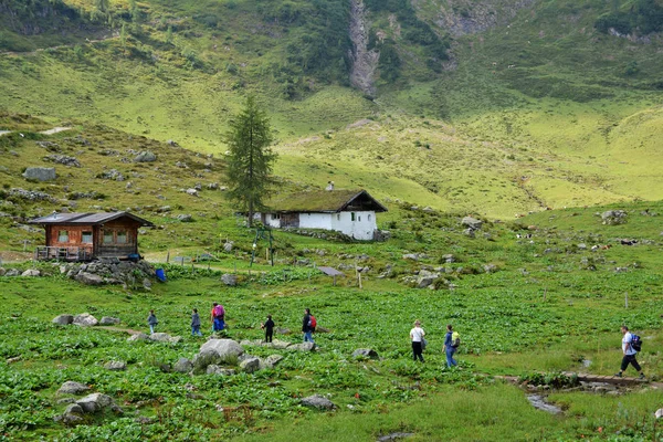 Fieberbrunn Austria Sierpnia 2016 Roku Piękny Widok Szlaku Dwie Godziny — Zdjęcie stockowe