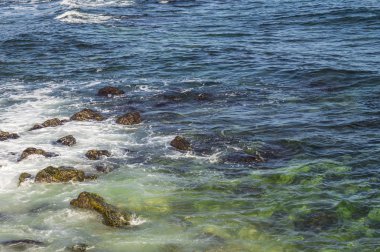 Romanya 'nın Köstence kentinde Karadeniz' de rüzgarlı bir gün