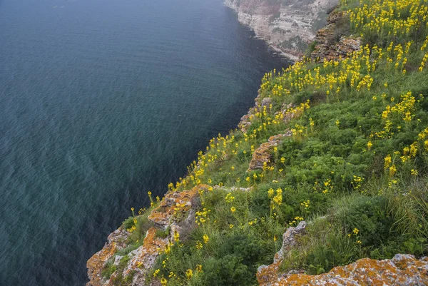 Kaliakra Bulgaria Europa Mayo 2015 Reserva Natural Costa Del Mar — Foto de Stock