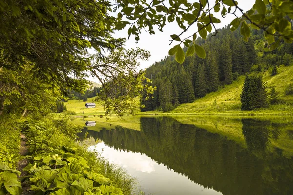 Sommerabend Morgensee Alpen Schweiz — Stockfoto