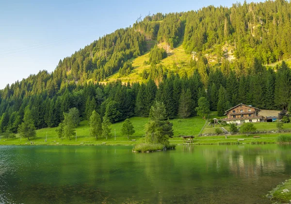 Chatel France Juli 2015 Landschaft Den Französischen Alpen Sommerabend Chatel — Stockfoto