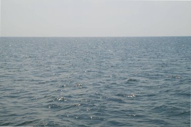 Sahildeki deniz dalgaları
