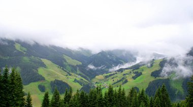 Saalbach - Hinterglemm, Avusturya - 10 Temmuz 2014. Avusturya Alpleri Dağları'nda yaz manzarası.