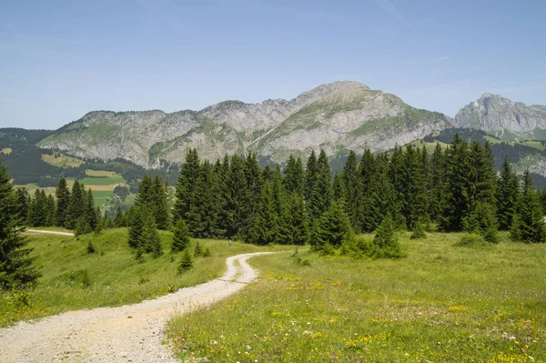 Saalbach Hinterglemm Austria Июля 2014 Года Летний Пейзаж Австрийских Альпах — стоковое фото