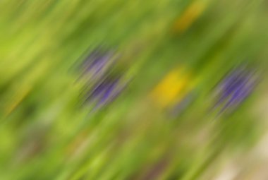 Yeşil tema . Doğa arka planı. Hareket bulanıklığı.