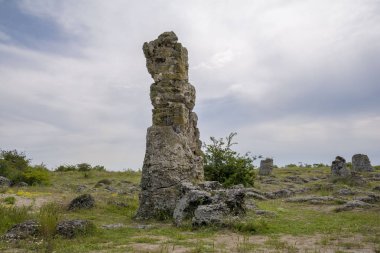 Doğal fenomen Pobiti Kamani, Taş Orman ve Dikilitash olarak bilinen, Varna, Bulgaristan yakınlarındaki antik çağlardan beri kutsal ve güçlü bir yerde doğal dönüm noktası. 