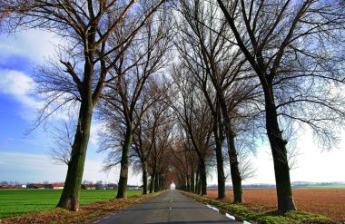 Bahar mevsiminde asfalt yol