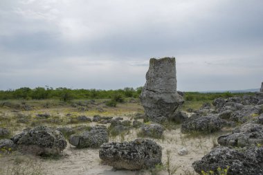 Doğal fenomen Pobiti Kamani, Taş Orman ve Dikilitash olarak bilinen, Varna, Bulgaristan yakınlarındaki antik çağlardan beri kutsal ve güçlü bir yerde doğal dönüm noktası. 