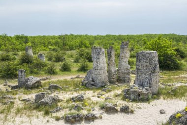 Doğal fenomen Pobiti Kamani, Taş Orman ve Dikilitash olarak bilinen, Varna, Bulgaristan yakınlarındaki antik çağlardan beri kutsal ve güçlü bir yerde doğal dönüm noktası. 
