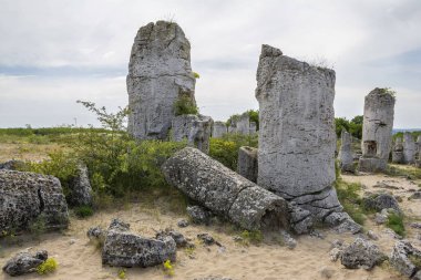 Doğal fenomen Pobiti Kamani, Taş Orman ve Dikilitash olarak bilinen, Varna, Bulgaristan yakınlarındaki antik çağlardan beri kutsal ve güçlü bir yerde doğal dönüm noktası. 