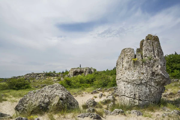 Det Naturliga Fenomenet Pobiti Kamani Känd Som Stenskogen Och Dikilitash — Stockfoto