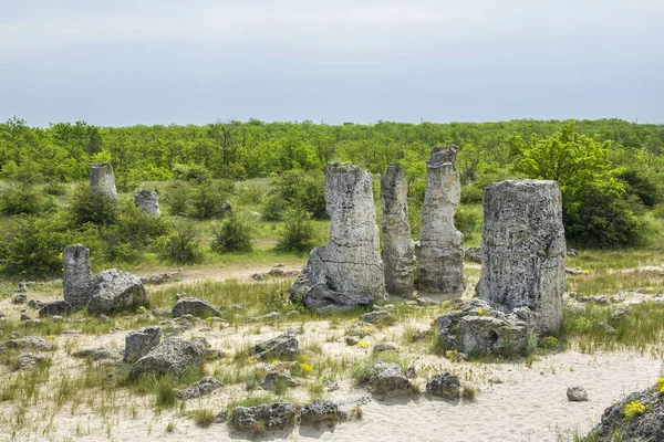 The natural phenomenon Pobiti Kamani, known as The Stone Forest and Dikilitash ,natural landmark in a sacred and powerful place since antiquity near Varna, Bulgaria.