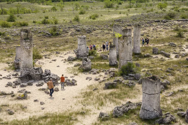 The natural phenomenon Pobiti Kamani, known as The Stone Forest and Dikilitash ,natural landmark in a sacred and powerful place since antiquity near Varna, Bulgaria.