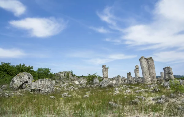 The natural phenomenon Pobiti Kamani, known as The Stone Forest and Dikilitash ,natural landmark in a sacred and powerful place since antiquity near Varna, Bulgaria.