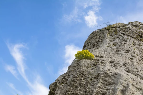 The natural phenomenon Pobiti Kamani, known as The Stone Forest and Dikilitash ,natural landmark in a sacred and powerful place since antiquity near Varna, Bulgaria.