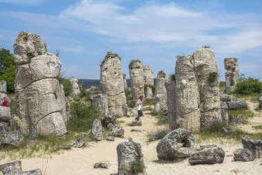 Doğal fenomen Pobiti Kamani, Taş Orman ve Dikilitash olarak bilinen, Varna, Bulgaristan yakınlarındaki antik çağlardan beri kutsal ve güçlü bir yerde doğal dönüm noktası. 