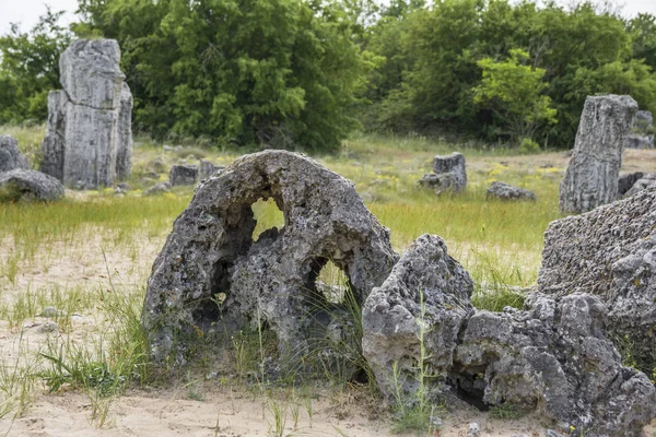 The natural phenomenon Pobiti Kamani, known as The Stone Forest and Dikilitash ,natural landmark in a sacred and powerful place since antiquity near Varna, Bulgaria.