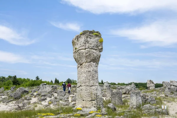 The natural phenomenon Pobiti Kamani, known as The Stone Forest and Dikilitash ,natural landmark in a sacred and powerful place since antiquity near Varna, Bulgaria.