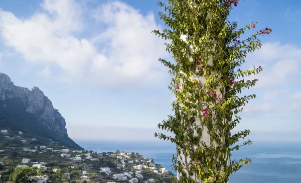 Wyspa Capri Białe Kolumnady Symbole Wyspy — Zdjęcie stockowe