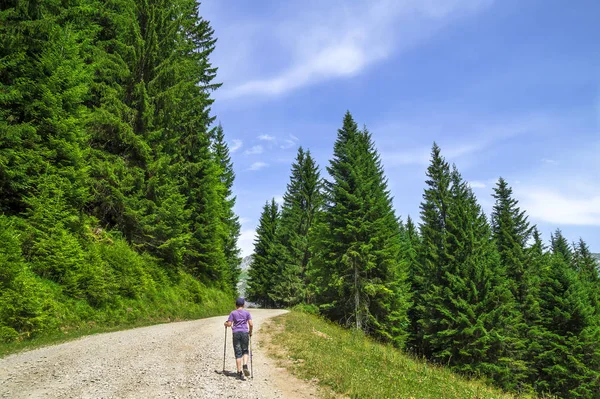 Bela Paisagem Verão Nos Alpes Franceses — Fotografia de Stock