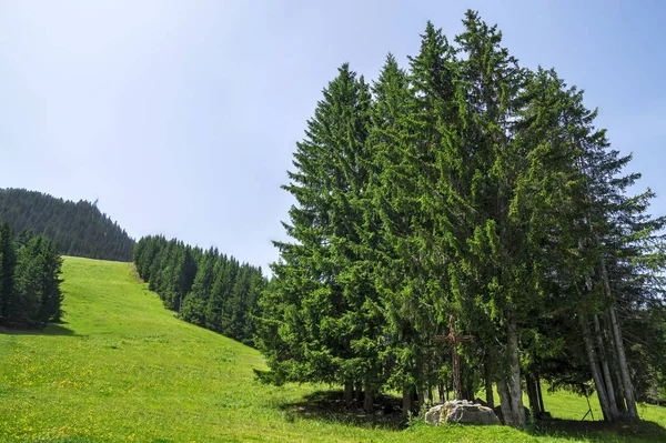 在法国的阿尔卑斯山的美丽夏日风景 — 图库照片