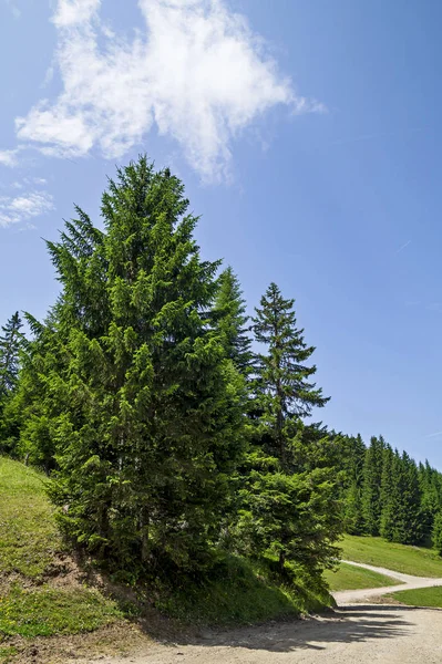 güzel yaz manzarası Fransız Alpleri'nde  