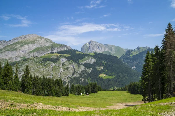 Bela Paisagem Verão Nos Alpes Franceses — Fotografia de Stock