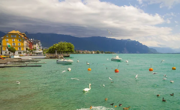 Vevey Riviera Cenevre Gölü Kıyısında Dramatik Yaz Günü Sviçre — Stok fotoğraf