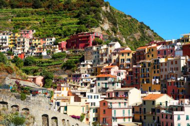 Manarola, Cinque Terre, İtalya - 26 Haziran 2015. Renkli Manarola , Cinque Terre bölgesinde ünlü köy , La Spezia , İtalya. 