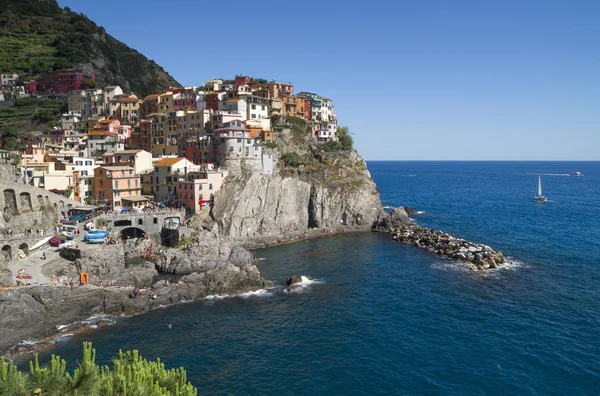 Manarola Cinque Terre Italien Juni 2015 Bunte Manarola Berühmtes Dorf — Stockfoto