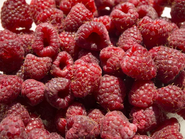 Red Raspberries Bowl Close — Stock Photo, Image
