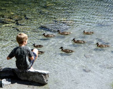 Çocuk göldeki ördeklere bakıyor.