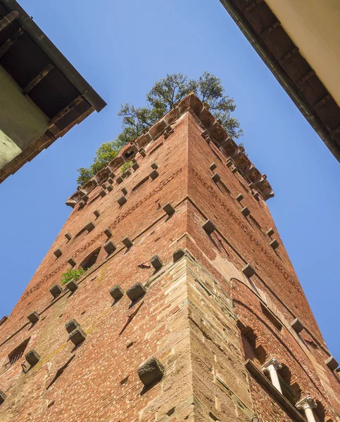 Fachada Torre Guinigi Famoso Monumento Centro Histórico Lucca Toscana — Foto de Stock