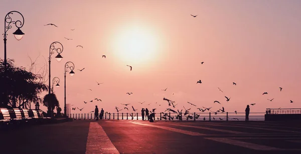 Hermoso Amanecer Con Siluetas Personas Pájaros Vista Desde Paseo Marítimo — Foto de Stock