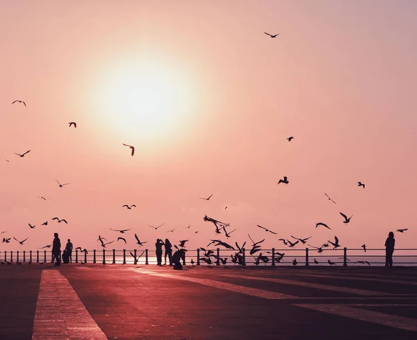 Hermoso Amanecer Con Siluetas Personas Pájaros Vista Desde Paseo Marítimo — Foto de Stock