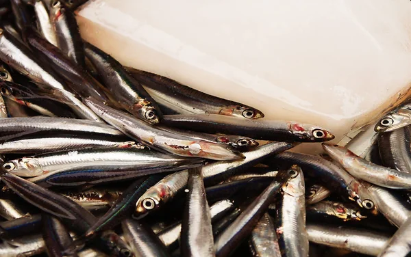 Anchoas Mercado Pescado Las Calles Nápoles Italia — Foto de Stock