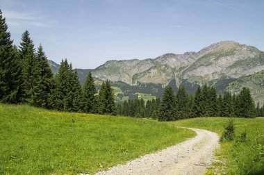 Fransız Alpleri'nde yaz peyzaj