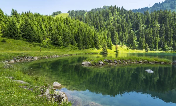 Ruhige Szene Ufer Des Sees Schöne Grüne Landschaft Den Alpen — Stockfoto