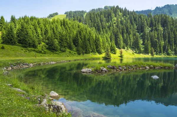 Ruhige Szene Ufer Des Sees Schöne Grüne Landschaft Den Alpen — Stockfoto