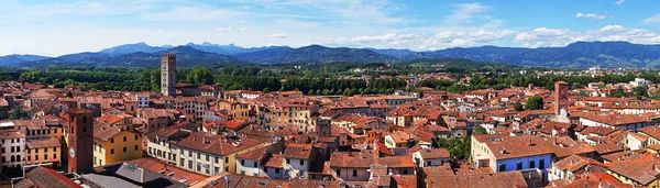 Scenic View Ancient City Lucca Guinigi Tower — Stock Photo, Image