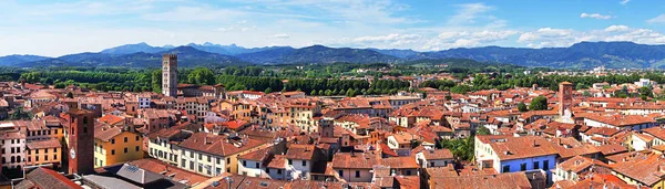 Naturskön Utsikt Över Den Antika Staden Lucca Från Guinigi Tornet — Stockfoto