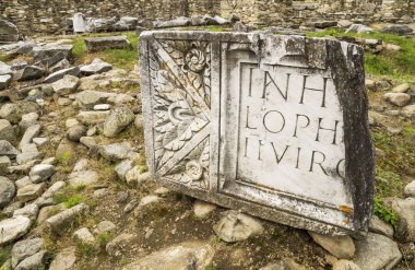 Romanya'da Ulpia Traiana Augusta Dacica Sarmizegetusa Antik Kalıntıları. Roma Forumu Harabeleri.
