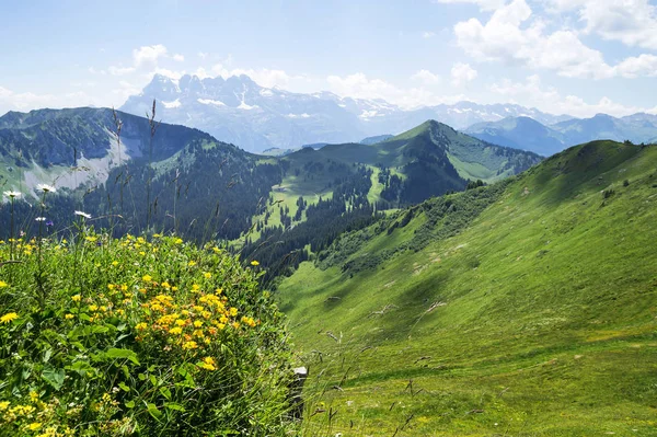 Sommar Landskap Alperna Portes Soleil Frankrike Och Schweiz Tillsammans — Stockfoto
