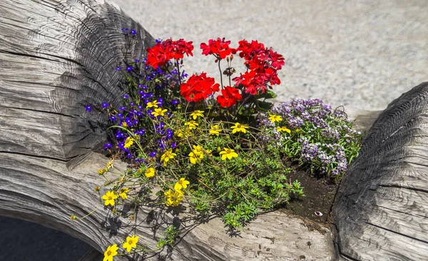 Tradicional Rústico Francês Flores Decoração — Fotografia de Stock