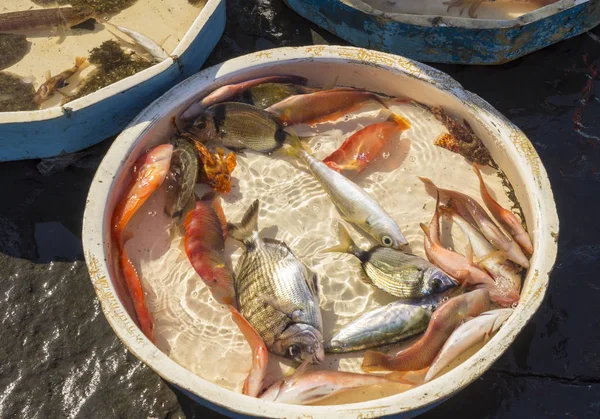 Antiguo Mercado Tradicional Pescado Fresco Playa Nápoles Italia — Foto de Stock