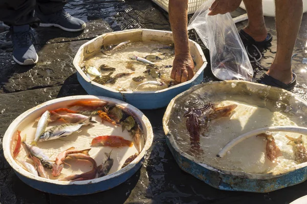 Gammal Traditionell Marknad Färsk Fisk Stranden Neapel Italien — Stockfoto