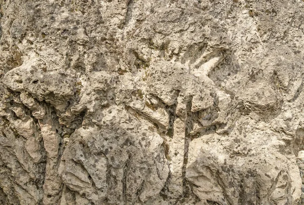 Romanya Ulpia Traiana Augusta Dacica Sarmizegetusa Antik Kalıntıları Roma Forumu — Stok fotoğraf